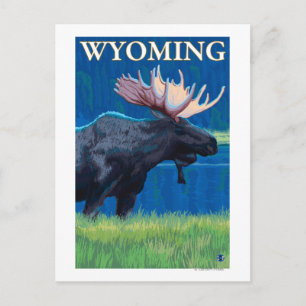 Moose at NightWyomingVintage Travel Poster Postcard