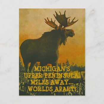 Moose At Sunset ~ Upper Peninsula Travel Postcard by layooper at Zazzle