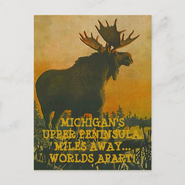 MOOSE AT SUNSET ~ UPPER PENINSULA TRAVEL POSTCARD (Front)