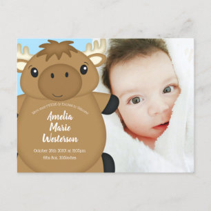 Moose Baby Shower Blue Postcard