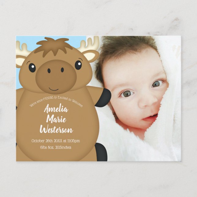 Moose Baby Shower Blue Postcard (Front)