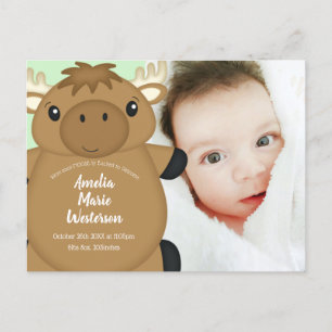 Moose Baby Shower Postcard