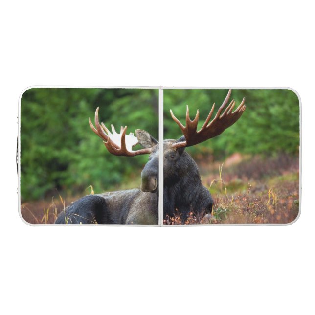 Moose Beer Pong Table (Top)