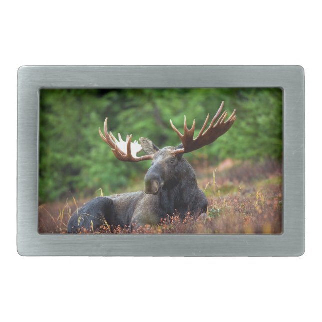 Moose Belt Buckle (Front)