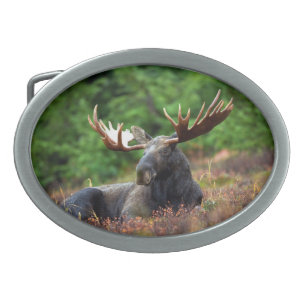 Moose Belt Buckle