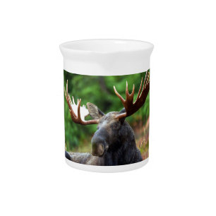 Moose Beverage Pitcher