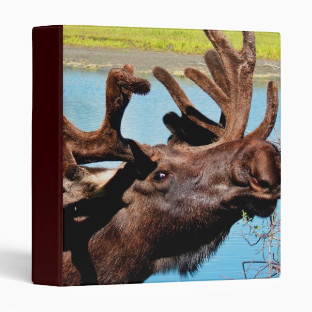 Moose Binder (Front/Spine)