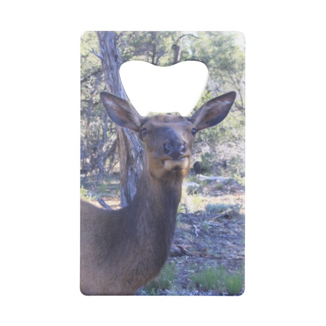 Moose Bottle Opener (Front)