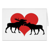 moose bull and cow (Front Horizontal)