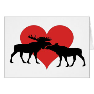 moose bull and cow cards