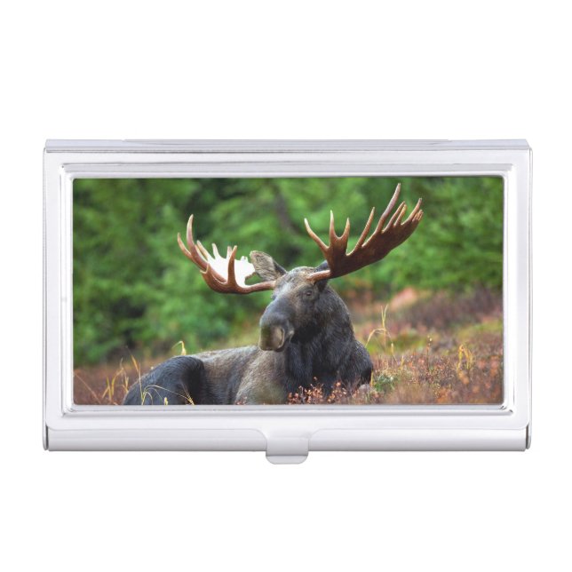 Moose Business Card Case (Front)