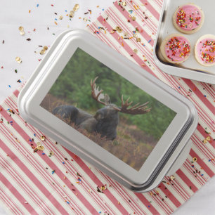 Moose Cake Pan