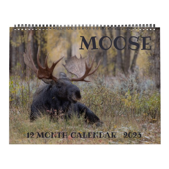Moose Calendar - Large Size (Cover)