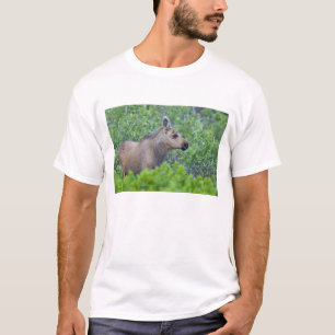 Moose calf in the Many Glacier Valley T-Shirt