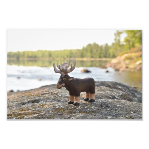 Moose Camping Photo Print