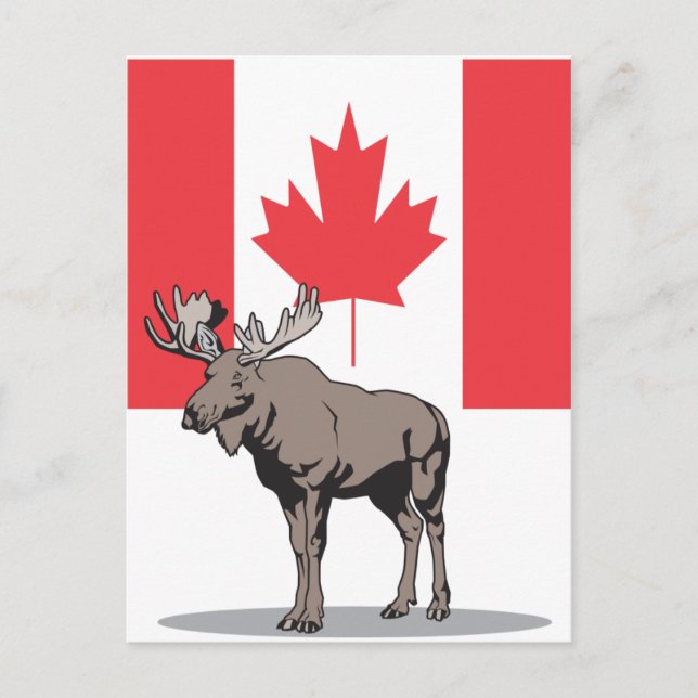 Moose Canada Postcard (Front)