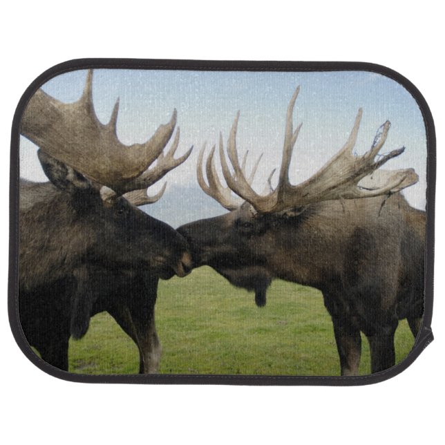 Moose Car Mat (Rear)