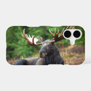 Moose iPhone 17 Case