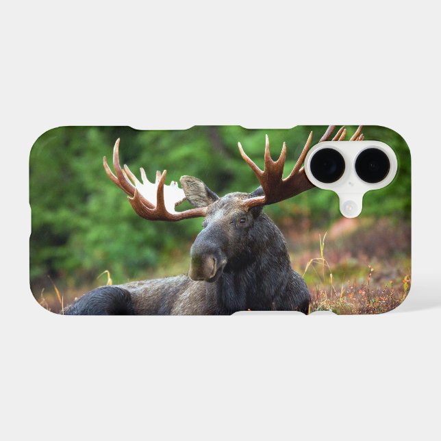 Moose Case-Mate iPhone Case (Back (Horizontal))