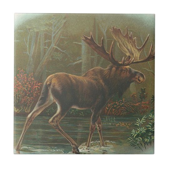 Moose Ceramic Tile | Zazzle.com