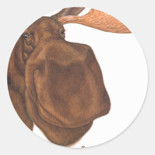 moose classic round sticker