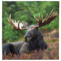 Moose Cloth Napkin