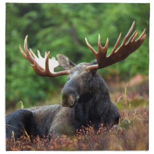 Moose Cloth Napkin