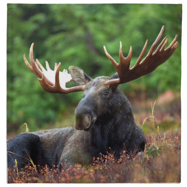 Moose Cloth Napkin (Front)