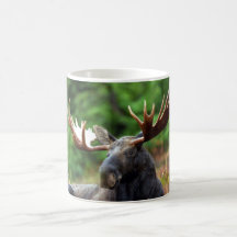 Moose Coffee Mug