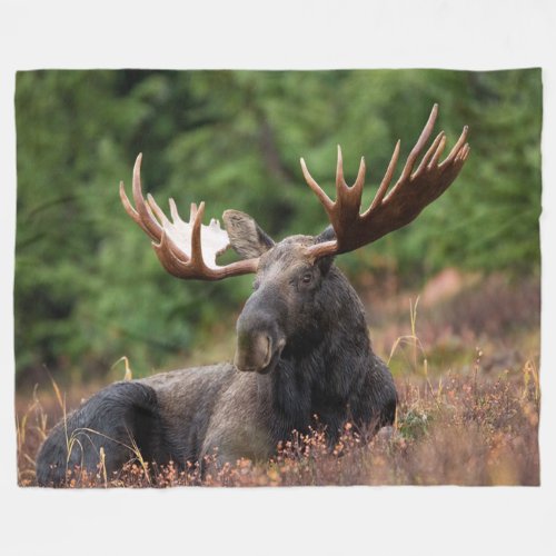 Moose Country Wild Animal Photo Custom Fleece Blanket