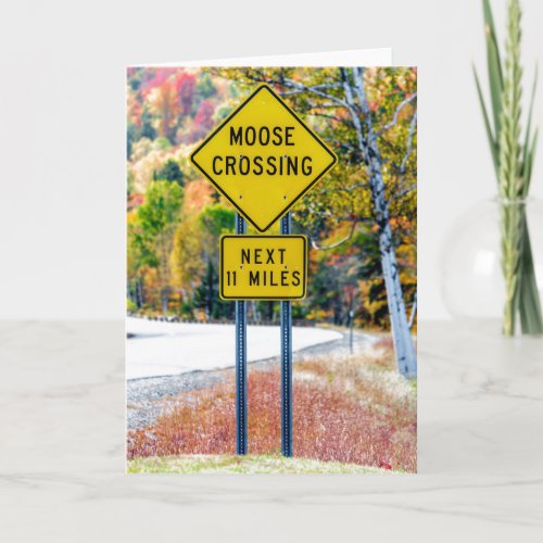 Moose Crossing Greeting Card