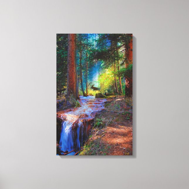 Moose Crossing High Mountain Stream Canvas Print (Front)