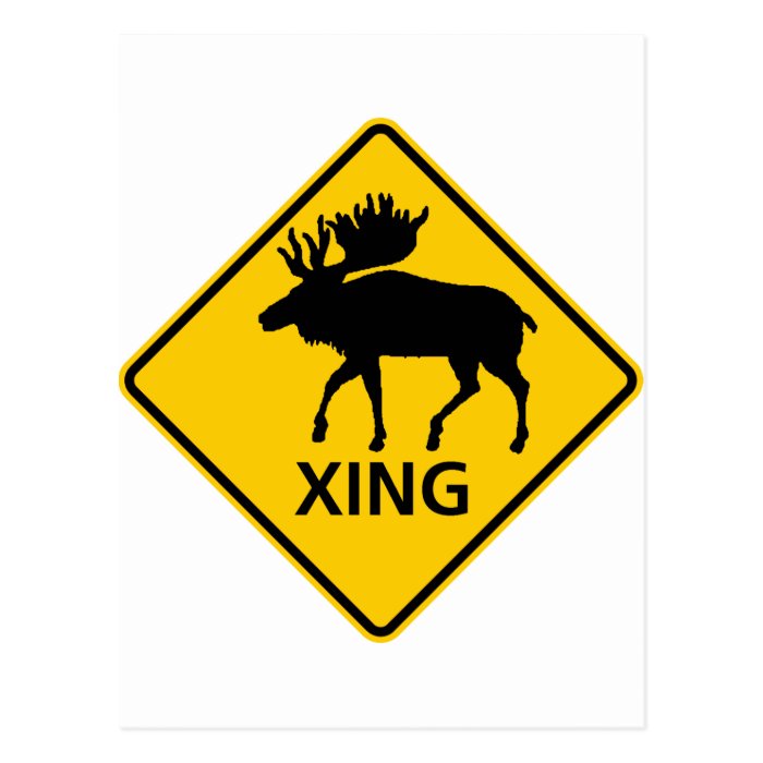 Moose Crossing Highway Sign Post Card