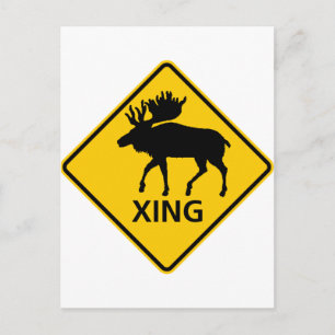 Moose Crossing Highway Sign Postcard