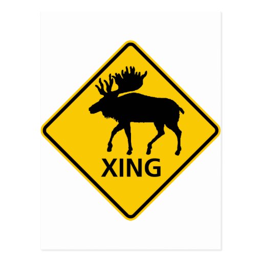 Moose Crossing Highway Sign Postcard | Zazzle