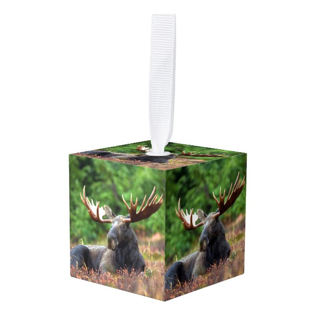 Moose Cube Ornament (Front Angled)