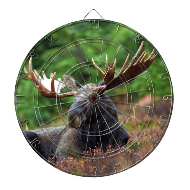 Moose Dart Board (Front)