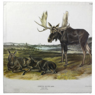 Moose Deer (Moose - Alces alces) by Audubon Cloth Napkin