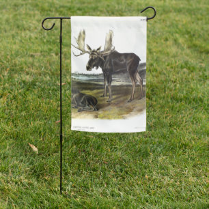 Moose Deer (Moose - Alces alces) by Audubon Garden Flag