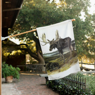 Moose Deer (Moose - Alces alces) by Audubon House Flag