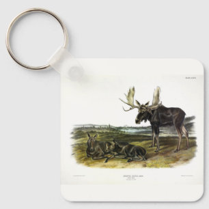 Moose Deer (Moose - Alces alces) by Audubon Keychain