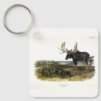 Moose Deer (Moose - Alces alces) by Audubon Keychain