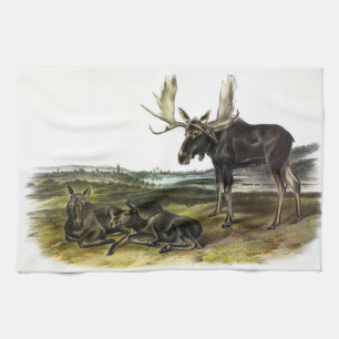 Moose Deer (Moose - Alces alces) by Audubon Kitchen Towel
