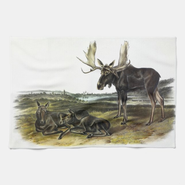 Moose Deer (Moose - Alces alces) by Audubon Kitchen Towel (Horizontal)