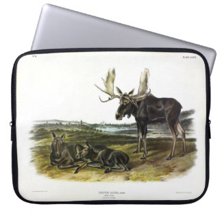 Moose Deer (Moose - Alces alces) by Audubon Laptop Sleeve