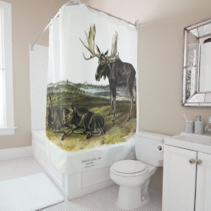 Moose Deer (Moose - Alces alces) by Audubon Shower Curtain