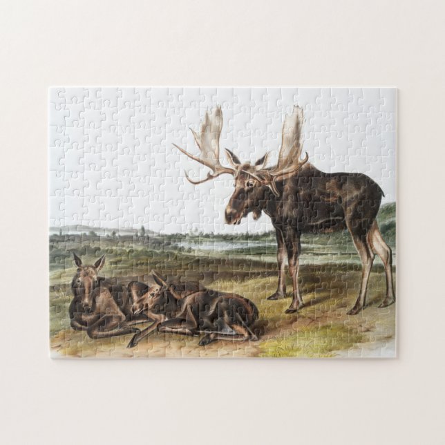 Moose Deer (Servus alces) Illustration Jigsaw Puzzle (Horizontal)