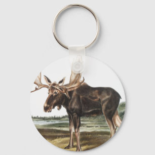 Moose Deer (Servus alces) Illustration Keychain