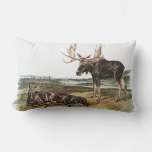 Moose Deer (Servus alces) Illustration Lumbar Pillow