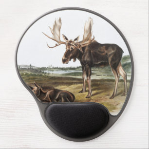 Moose Deer (Servus alces) Illustration Mouse Pad